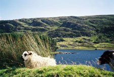 Ireland-Kerry-Hiking - Kerry Way